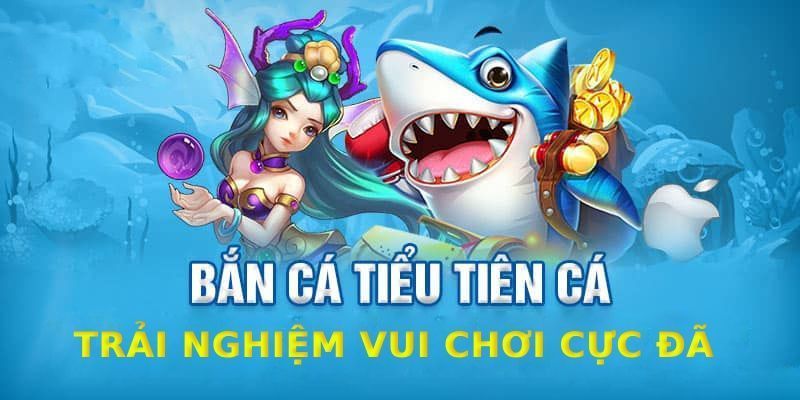 Bắn Cá Tiểu Tiên Cá - Đa Dạng Vũ Khí, Thỏa Sức Săn Quà Cao thủ bật mí những lưu ý khi chơi